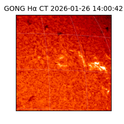 gong - 2026-01-26T14:00:42