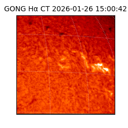 gong - 2026-01-26T15:00:42