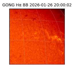 gong - 2026-01-26T20:00:02