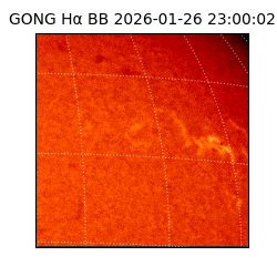 gong - 2026-01-26T23:00:02