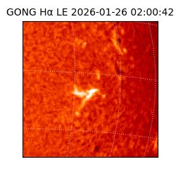 gong - 2026-01-26T02:00:42