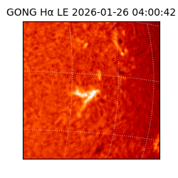 gong - 2026-01-26T04:00:42