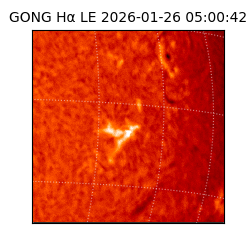 gong - 2026-01-26T05:00:42