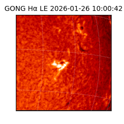 gong - 2026-01-26T10:00:42