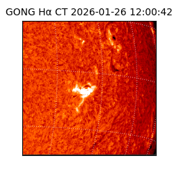 gong - 2026-01-26T12:00:42