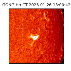 gong - 2026-01-26T13:00:42