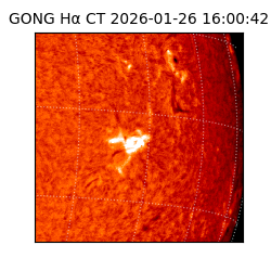 gong - 2026-01-26T16:00:42