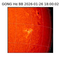 gong - 2026-01-26T18:00:02