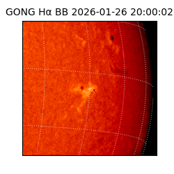 gong - 2026-01-26T20:00:02