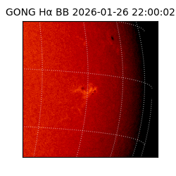 gong - 2026-01-26T22:00:02