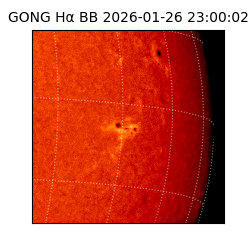 gong - 2026-01-26T23:00:02