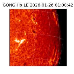 gong - 2026-01-26T01:00:42