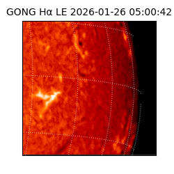 gong - 2026-01-26T05:00:42
