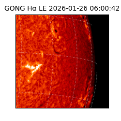 gong - 2026-01-26T06:00:42