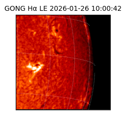 gong - 2026-01-26T10:00:42