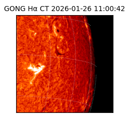 gong - 2026-01-26T11:00:42