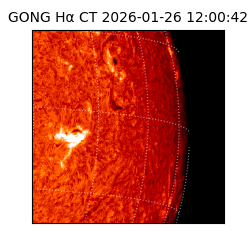 gong - 2026-01-26T12:00:42