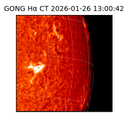 gong - 2026-01-26T13:00:42