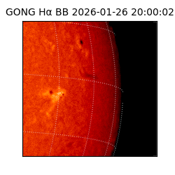 gong - 2026-01-26T20:00:02