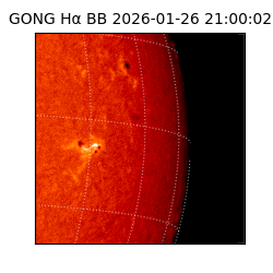 gong - 2026-01-26T21:00:02