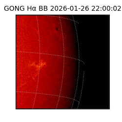 gong - 2026-01-26T22:00:02