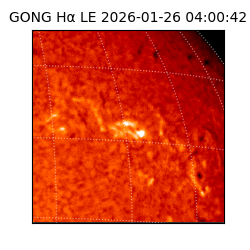 gong - 2026-01-26T04:00:42