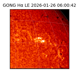 gong - 2026-01-26T06:00:42