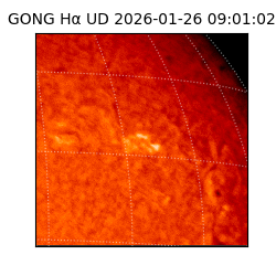 gong - 2026-01-26T09:01:02