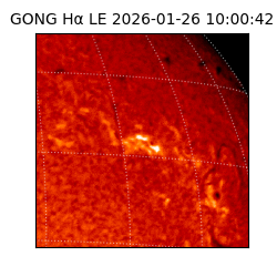 gong - 2026-01-26T10:00:42