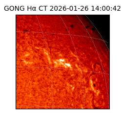 gong - 2026-01-26T14:00:42