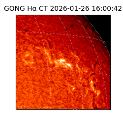 gong - 2026-01-26T16:00:42