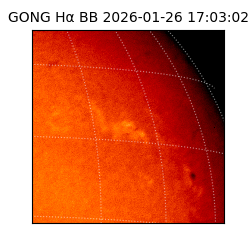 gong - 2026-01-26T17:03:02