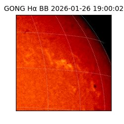 gong - 2026-01-26T19:00:02