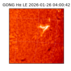 gong - 2026-01-26T04:00:42