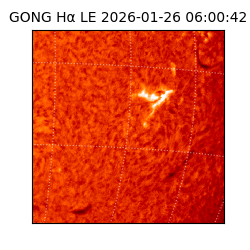 gong - 2026-01-26T06:00:42