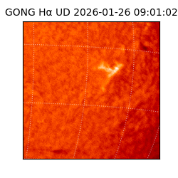 gong - 2026-01-26T09:01:02