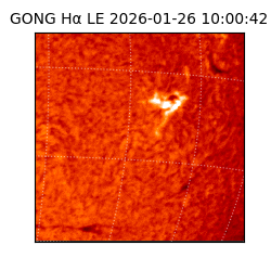 gong - 2026-01-26T10:00:42