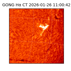 gong - 2026-01-26T11:00:42