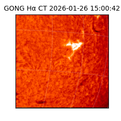 gong - 2026-01-26T15:00:42