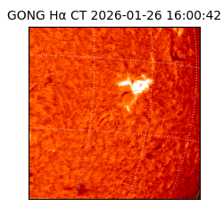 gong - 2026-01-26T16:00:42