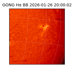 gong - 2026-01-26T20:00:02