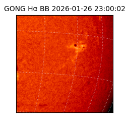 gong - 2026-01-26T23:00:02