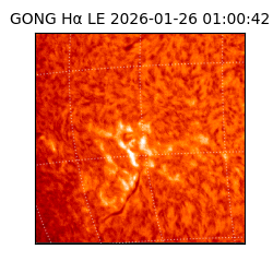 gong - 2026-01-26T01:00:42