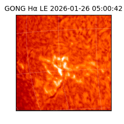 gong - 2026-01-26T05:00:42
