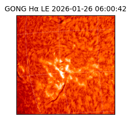 gong - 2026-01-26T06:00:42