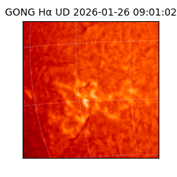 gong - 2026-01-26T09:01:02