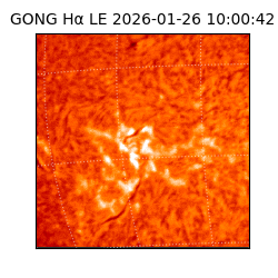 gong - 2026-01-26T10:00:42