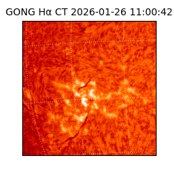 gong - 2026-01-26T11:00:42