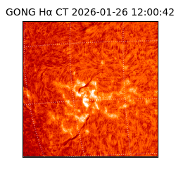 gong - 2026-01-26T12:00:42