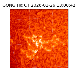 gong - 2026-01-26T13:00:42